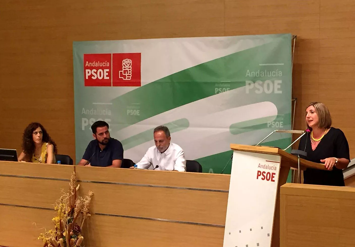 noticias cadiz pleno dipu psoe.jpg