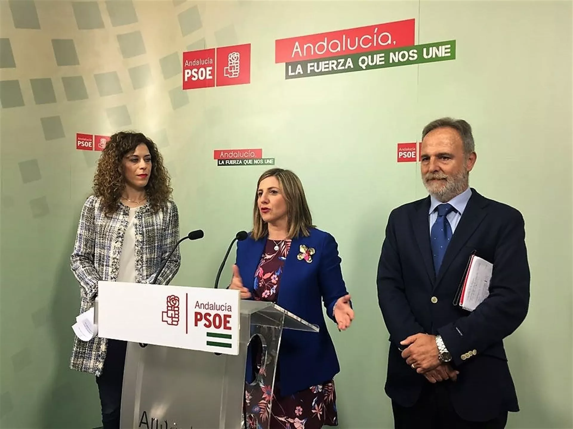 noticias cadiz TSJA pp diputacion.jpg