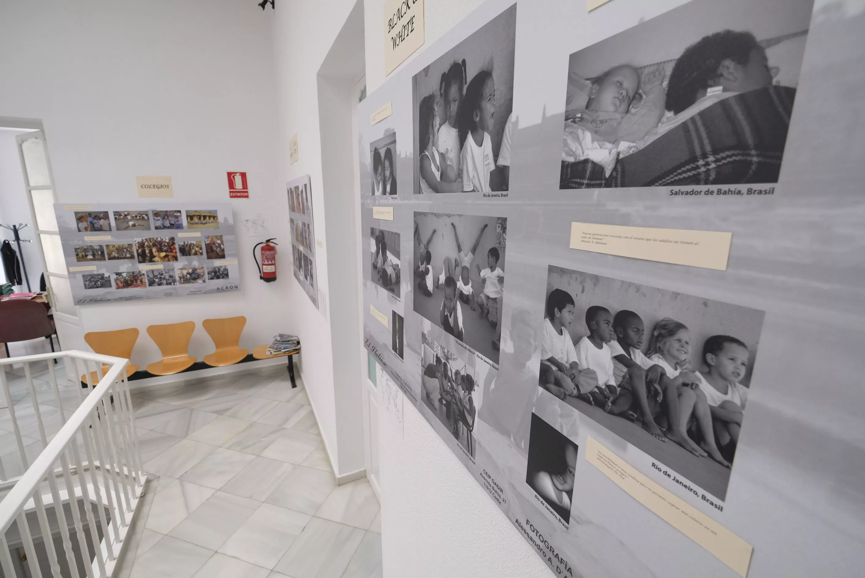noticias cadiz expo asuntos sociales.jpg noticias cadiz expo asuntos sociales.jpg