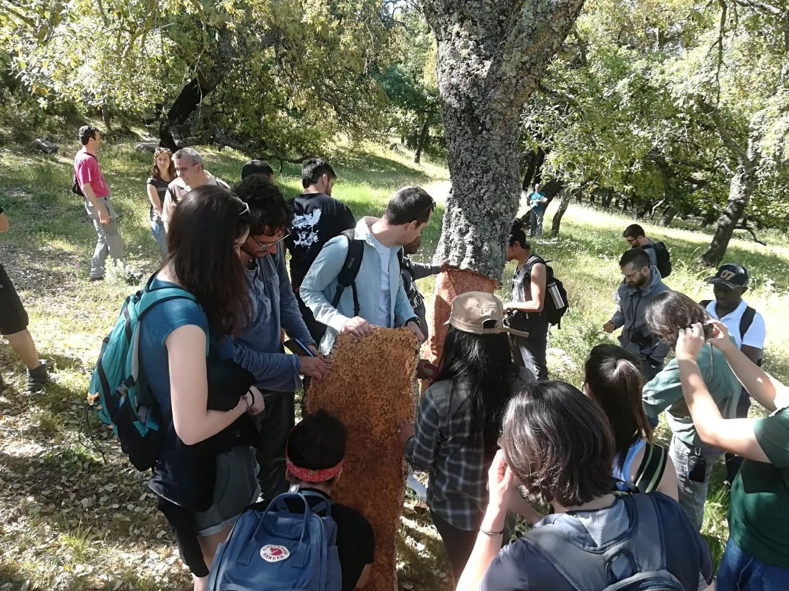 noticias cadiz masteres .jpg noticias cadiz masteres .jpg