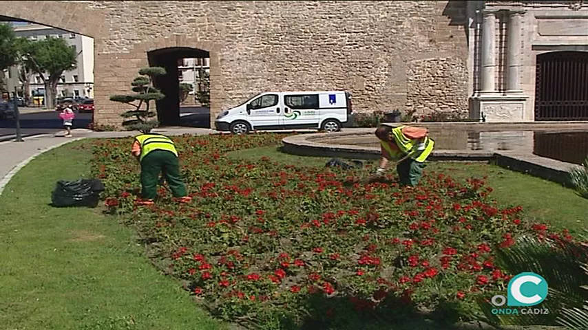 noticias cadiz operarios parques y jardines cadiz_0.jpg