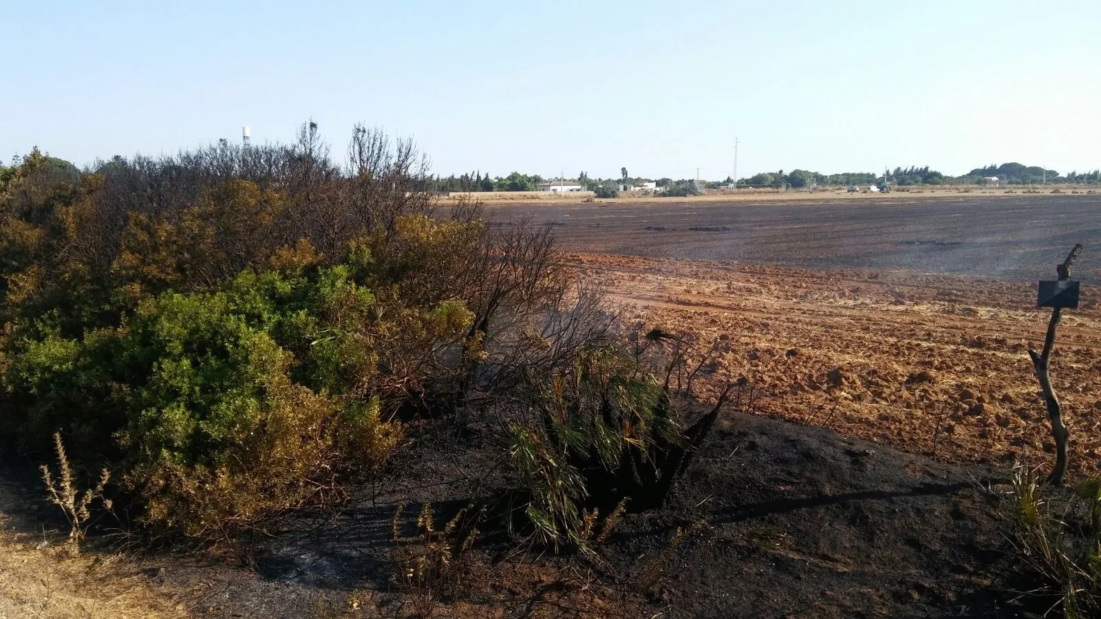 noticias cadiz fuego pago del humo.jpg