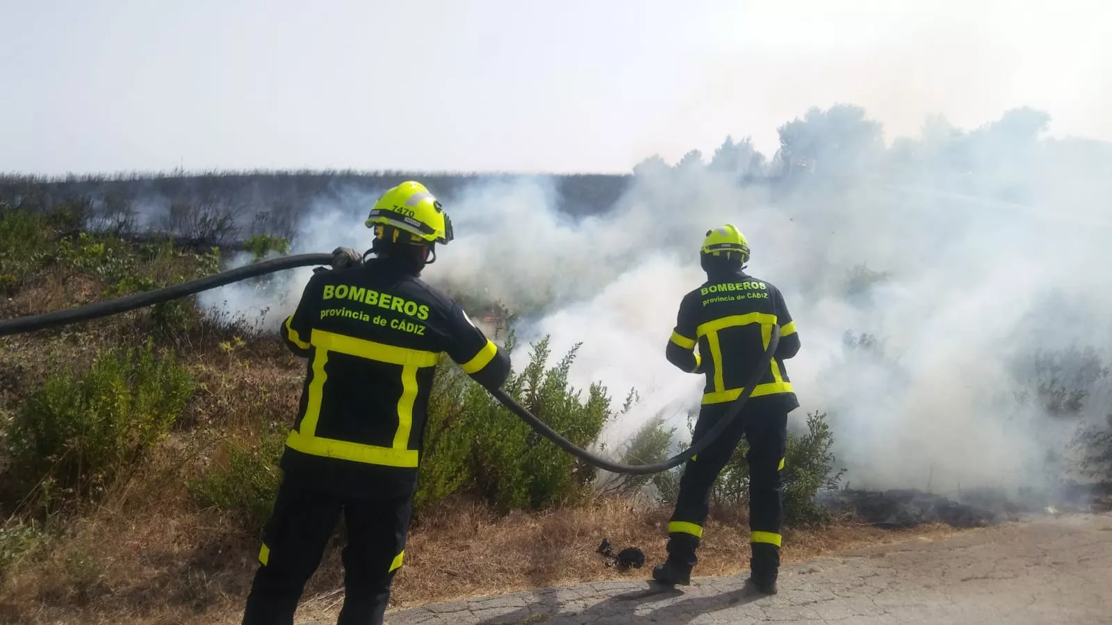 noticias cadiz incendio pasto jerez.jpeg