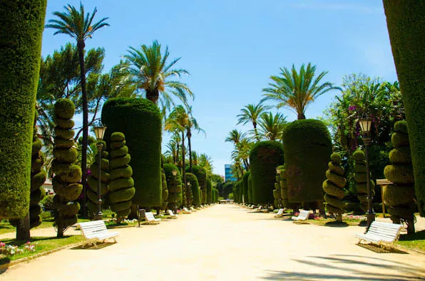 noticias cadiz parque genoves_4.jpg noticias cadiz parque genoves_4.jpg