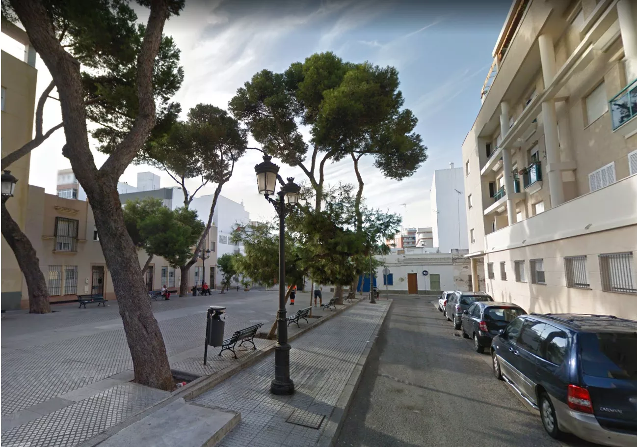 noticias cadiz plz arbol.jpg noticias cadiz plz arbol.jpg