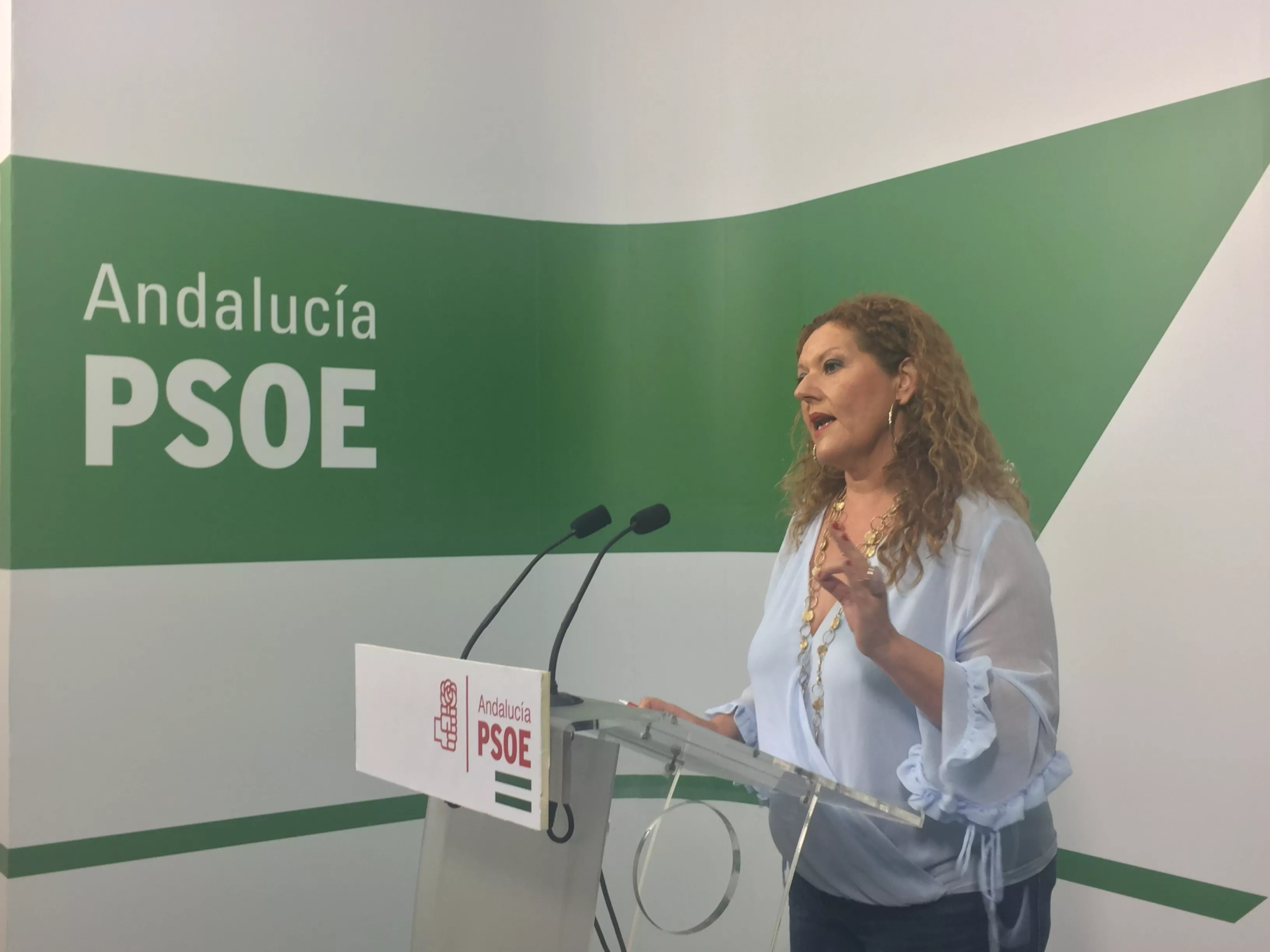 noticias cadiz araceli maese_0.JPG noticias cadiz araceli maese_0.JPG
