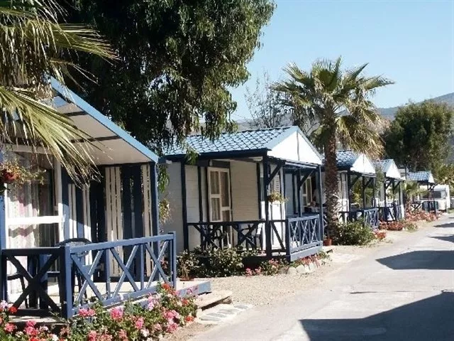 noticias cadiz campings_5.jpg noticias cadiz campings_5.jpg
