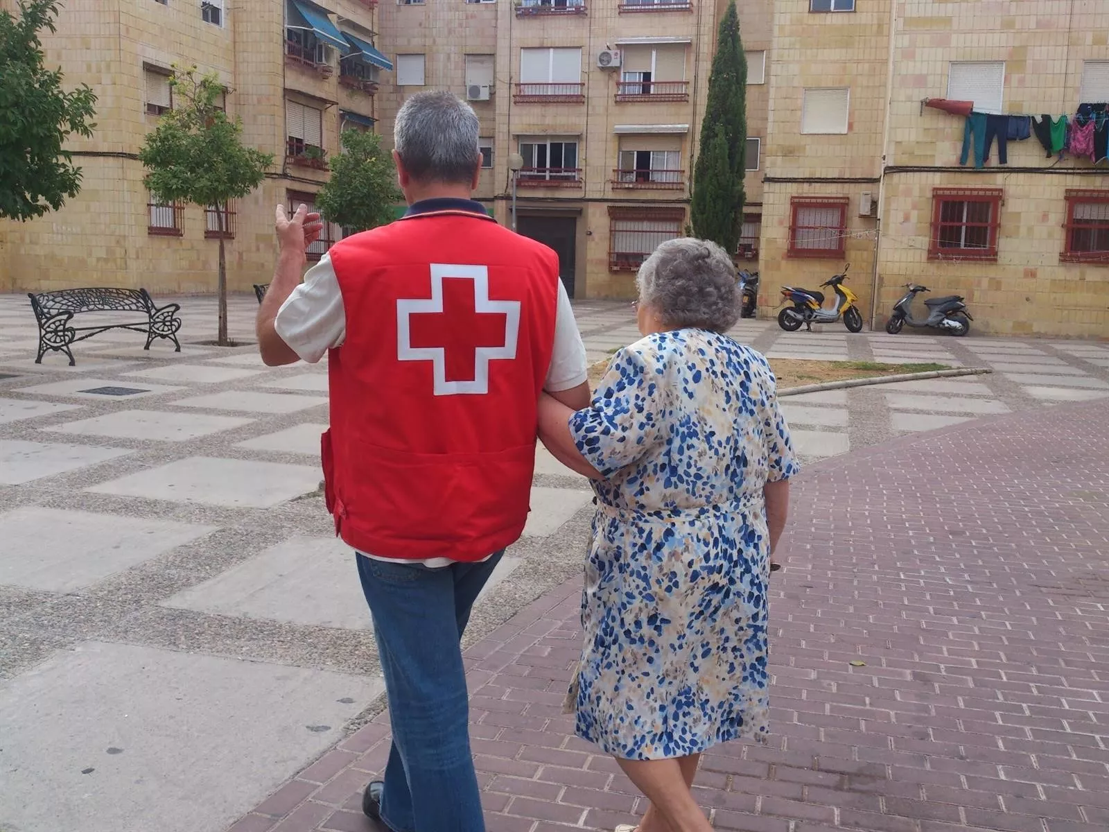 noticias cadiz cruz roja_18.jpg noticias cadiz cruz roja_18.jpg