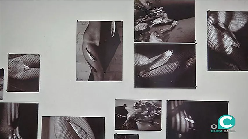 noticias cadiz expo OKOK_0.jpg noticias cadiz expo OKOK_0.jpg