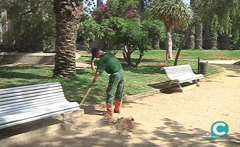 noticias cadiz parques y jardines.jpg