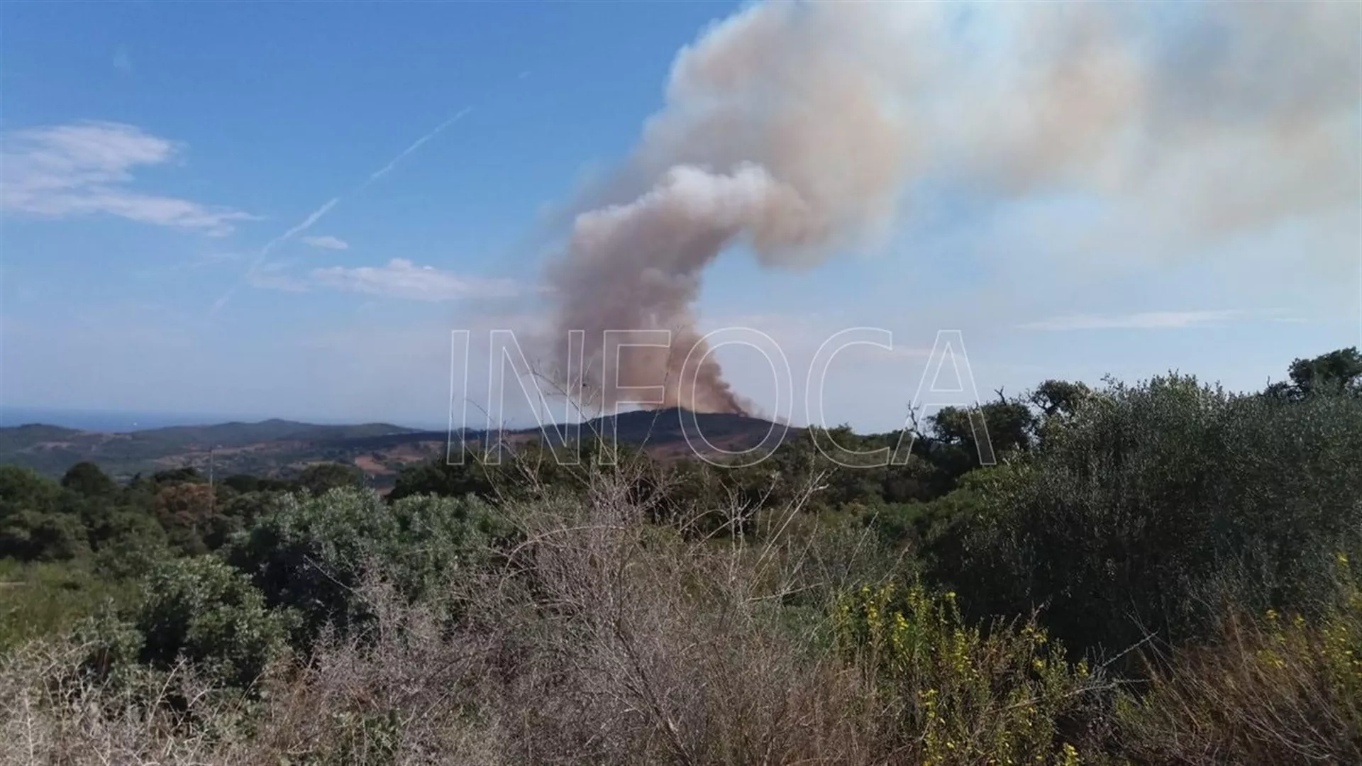 noticias cadiz infoca_2.jpg noticias cadiz infoca_2.jpg