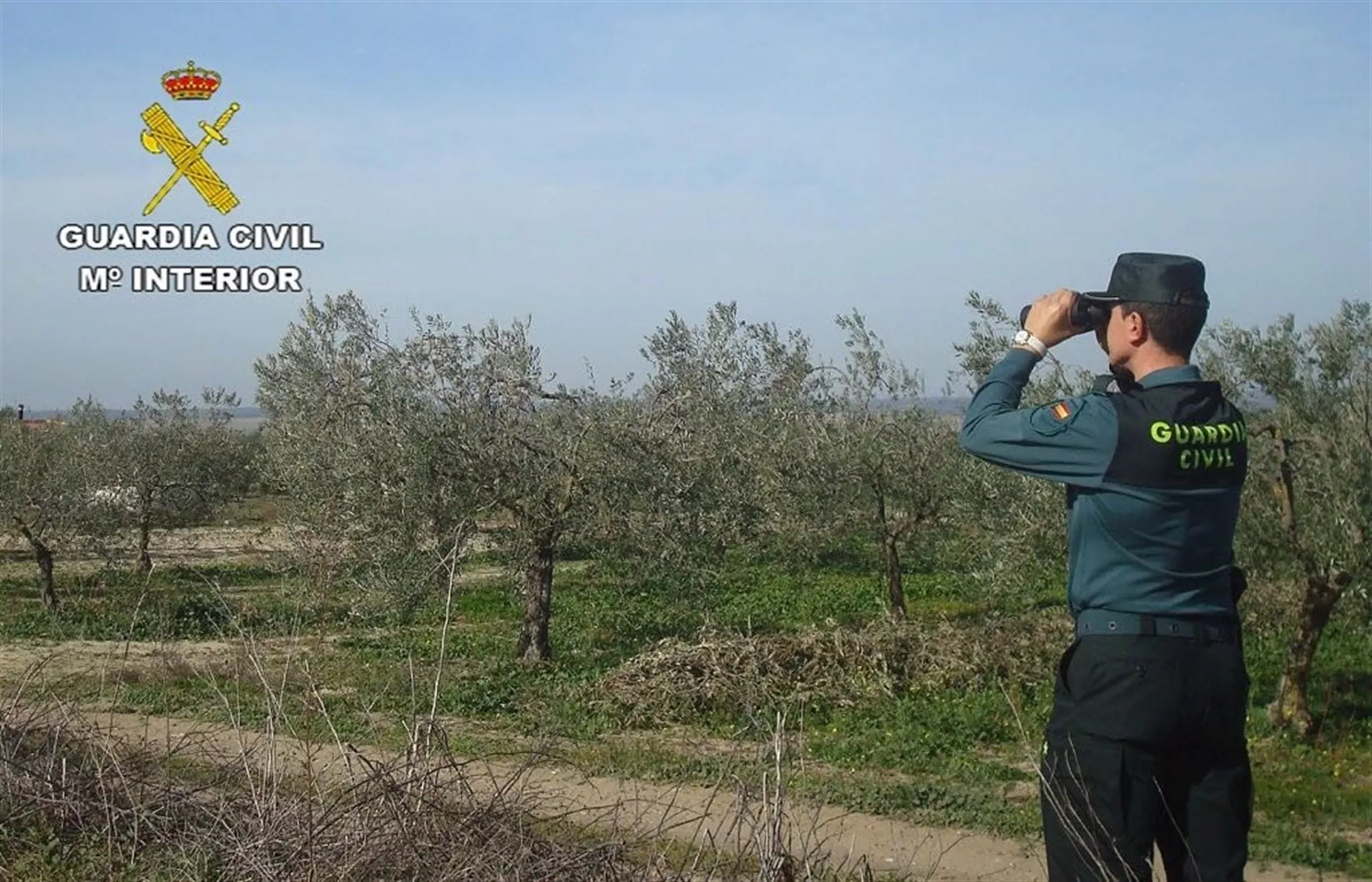 noticias cadiz los barrios_2.jpg noticias cadiz los barrios_2.jpg