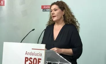noticias cadiz maese_2.jpg noticias cadiz maese_2.jpg