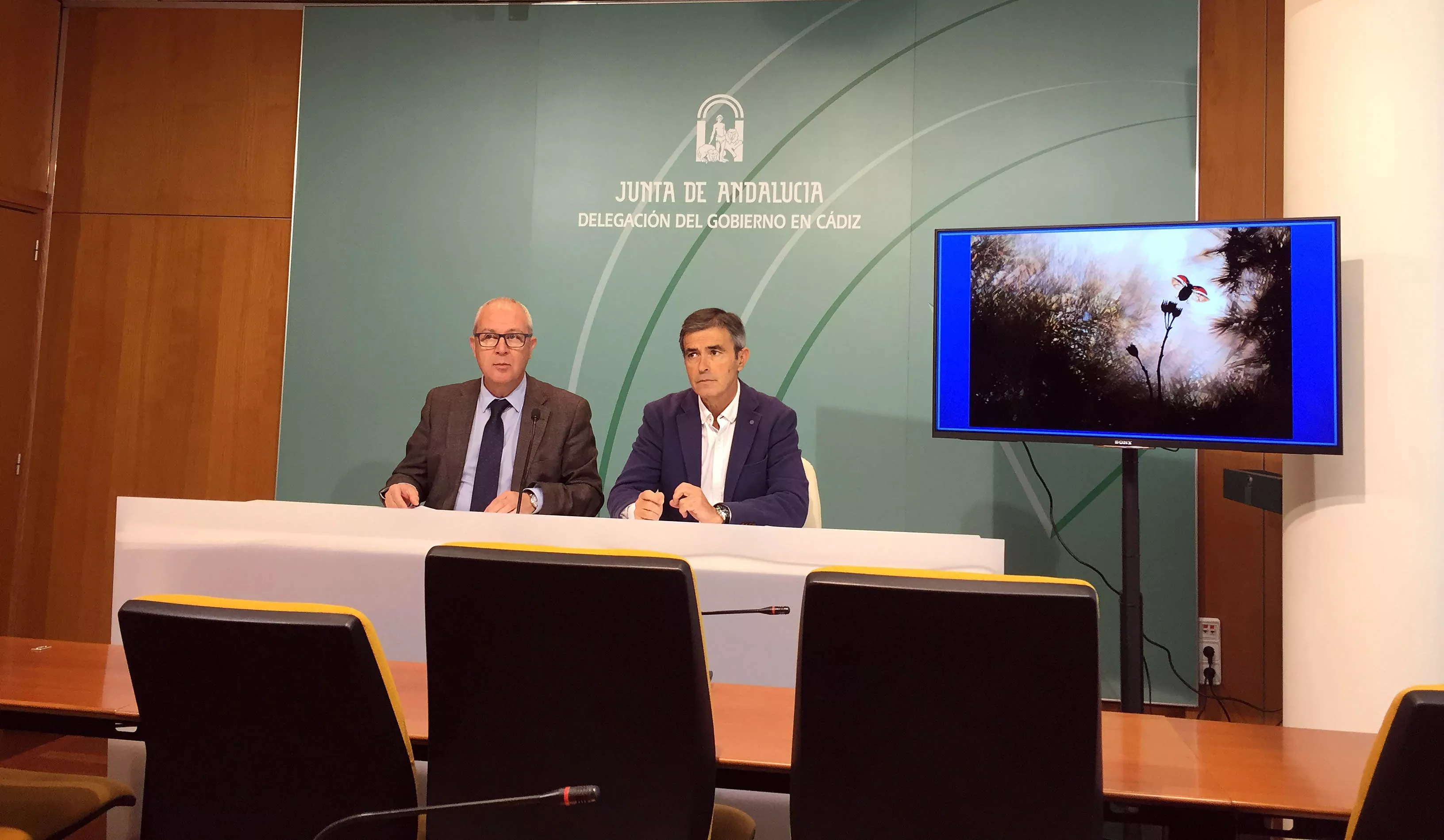 noticias cadizphotonature.jpeg noticias cadizphotonature.jpeg