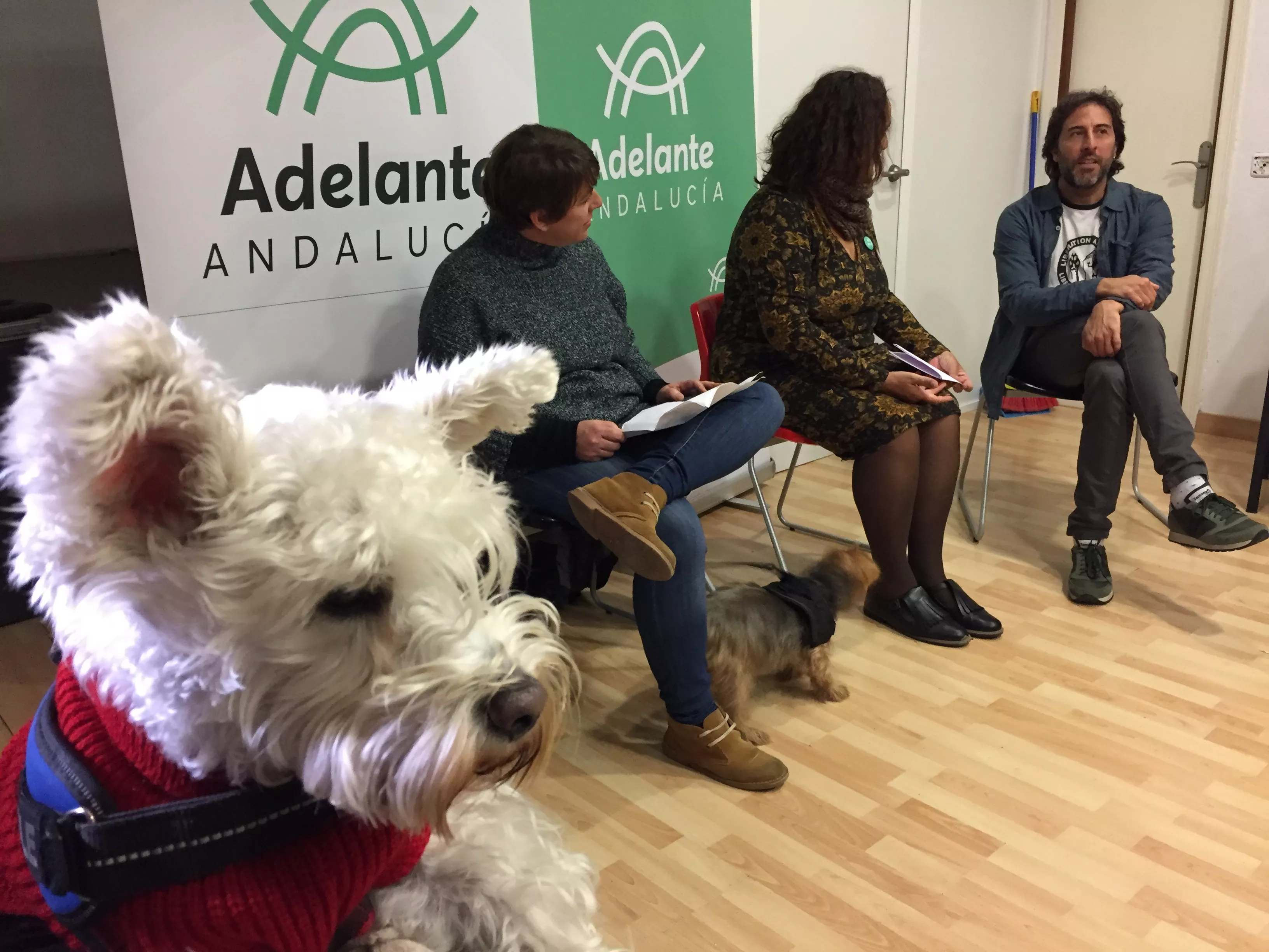 noticias cadi adelante andalucia bichos.jpeg noticias cadi adelante andalucia bichos.jpeg