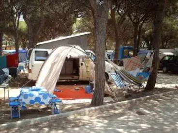 noticias cadiz camping Tarifa_0.jpg