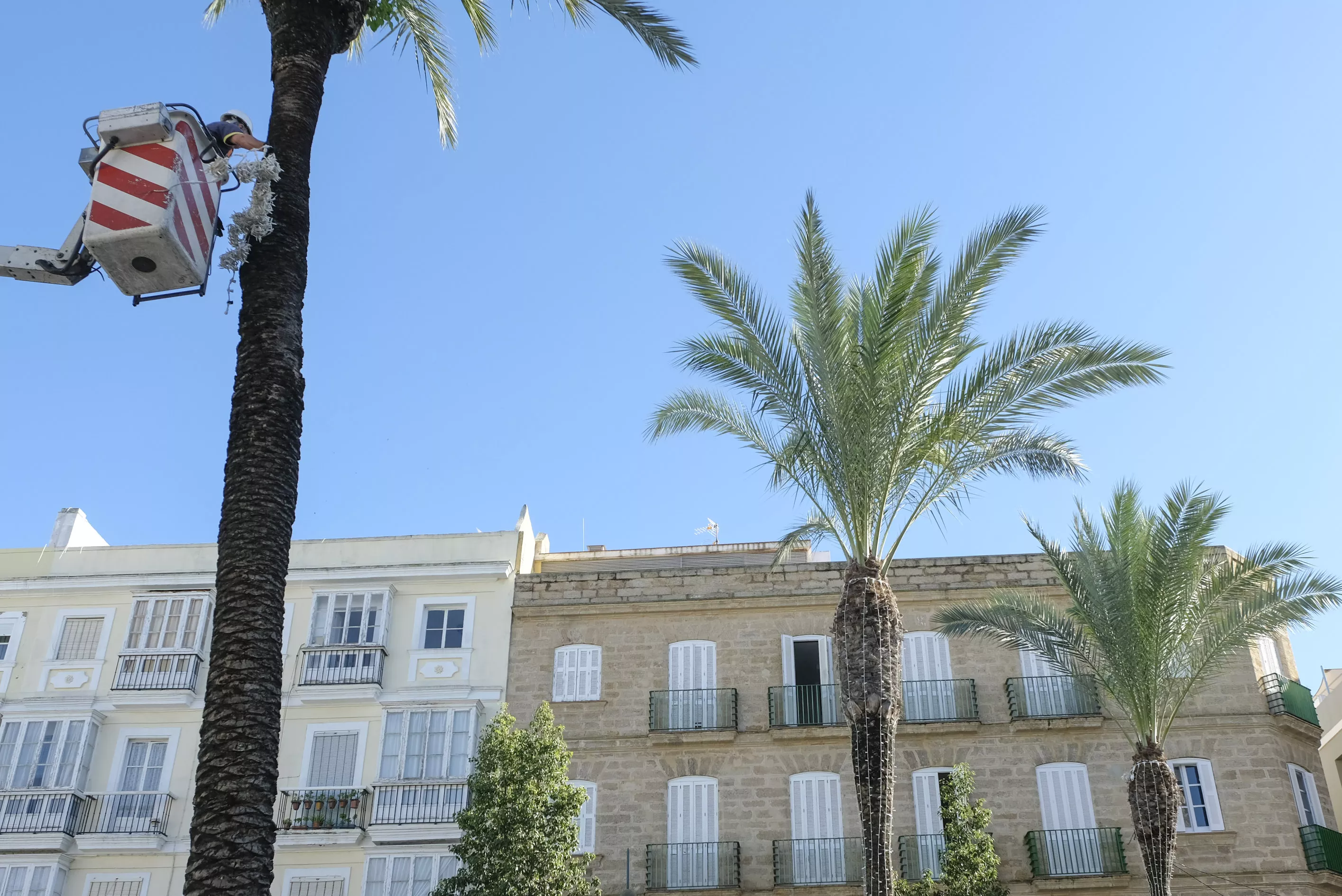 noticias cadiz iluminacion navidad.jpg noticias cadiz iluminacion navidad.jpg