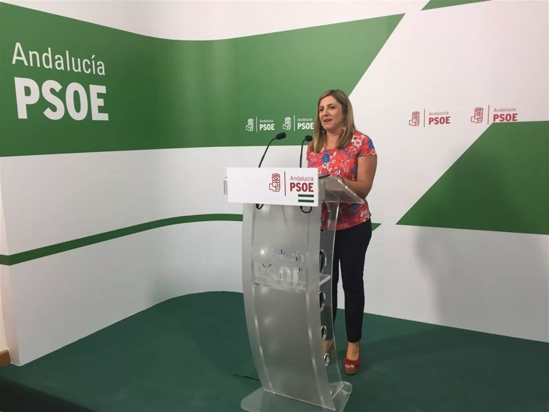 noticias cadiz psoe_40.jpg noticias cadiz psoe_40.jpg