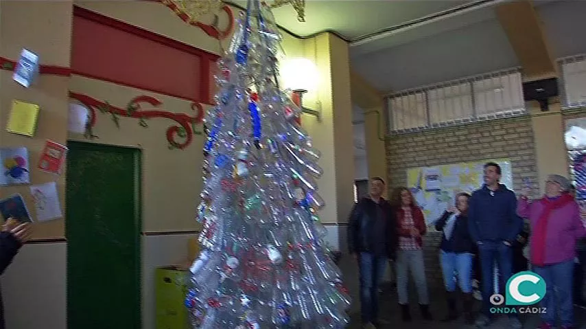 noticias cadiz arbol1.jpg noticias cadiz arbol1.jpg