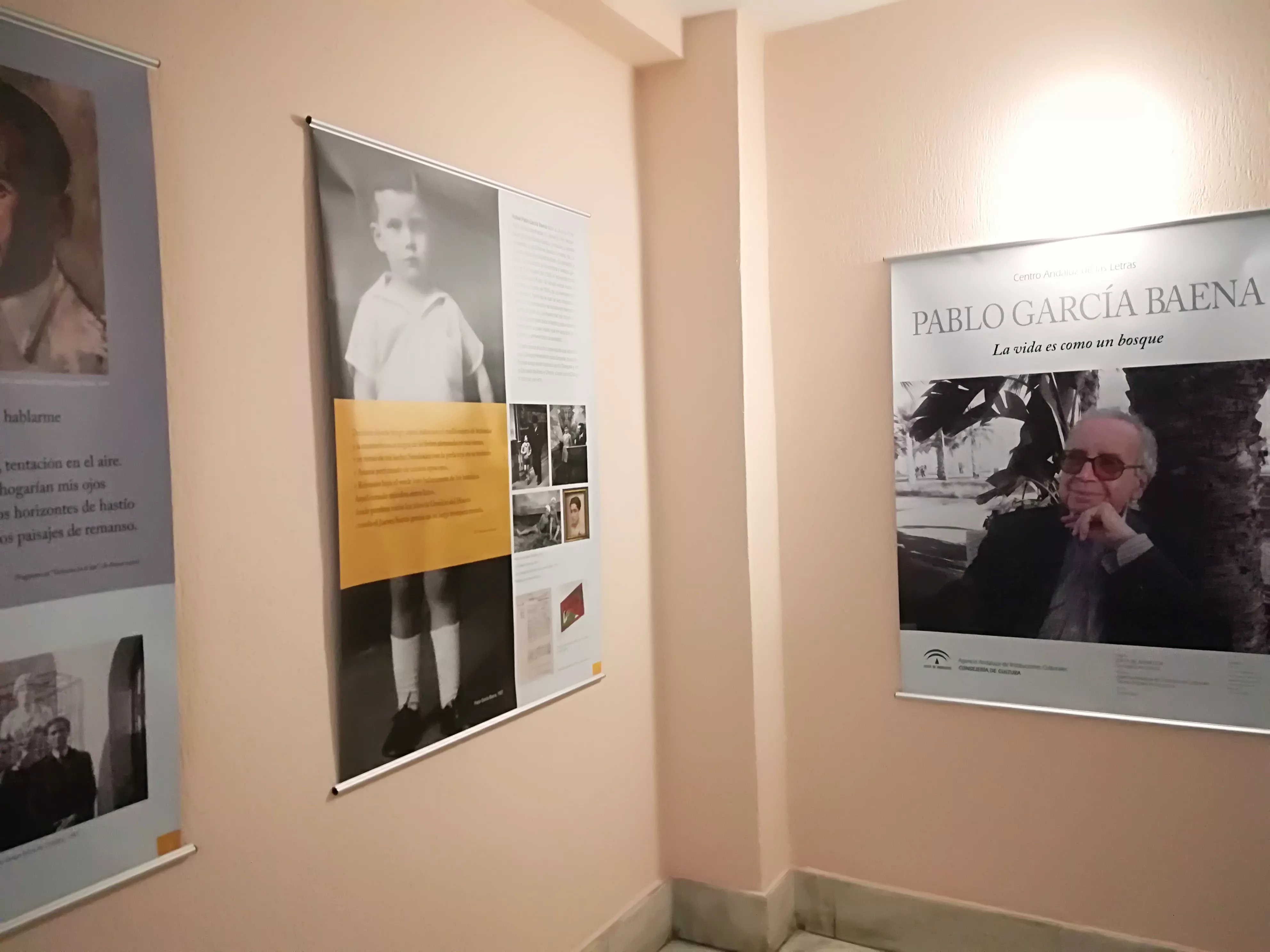 noticias cadiz baena.jpg noticias cadiz baena.jpg
