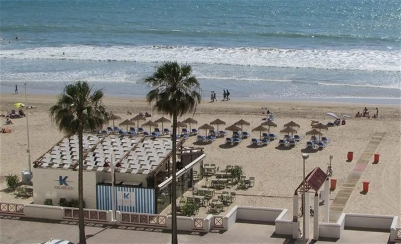 noticias cadiz chiringuitos_6.jpg noticias cadiz chiringuitos_6.jpg