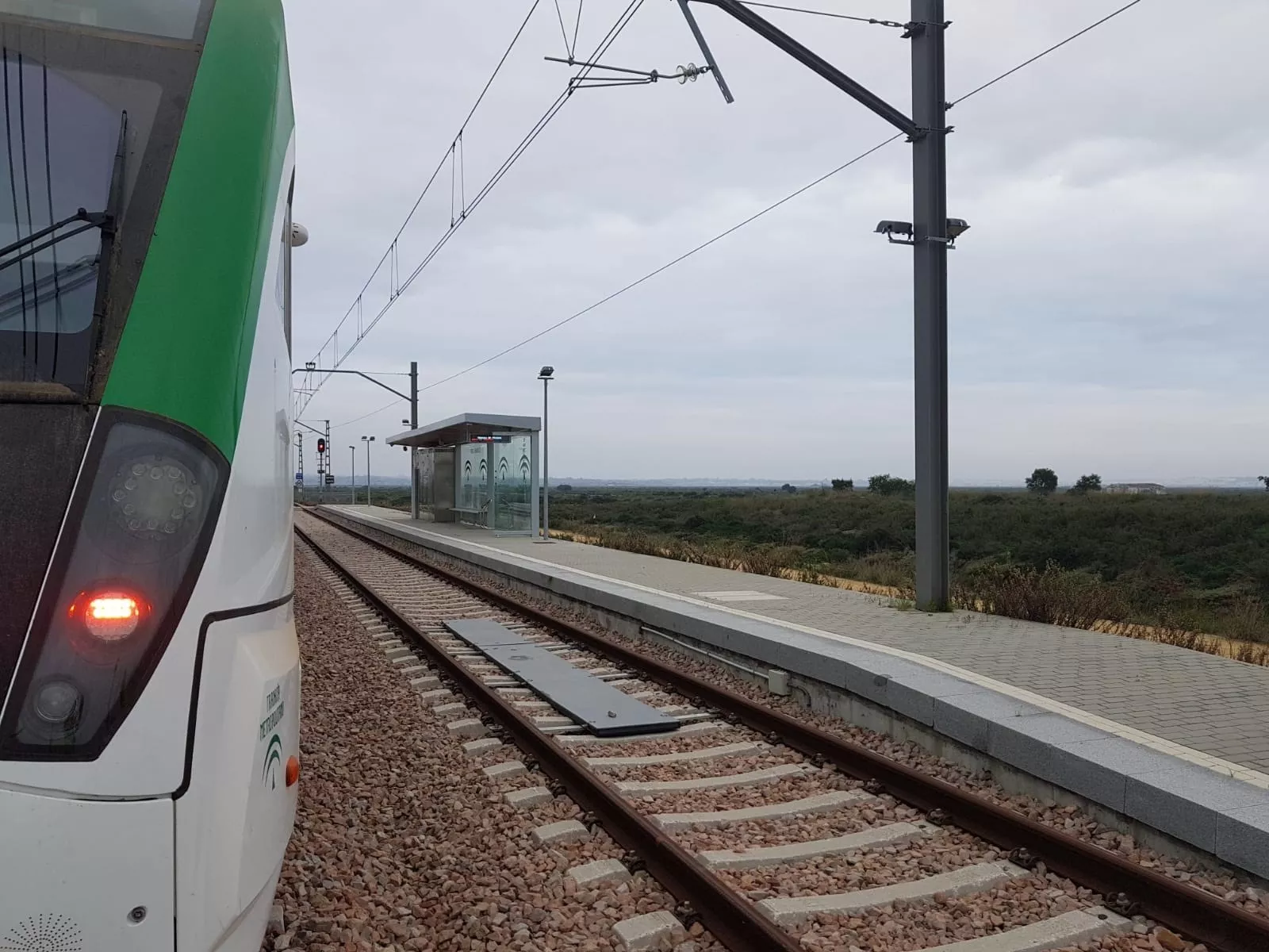 noticias cadiz prueba tren tranvia Puerto Real.jpg noticias cadiz prueba tren tranvia Puerto Real.jpg