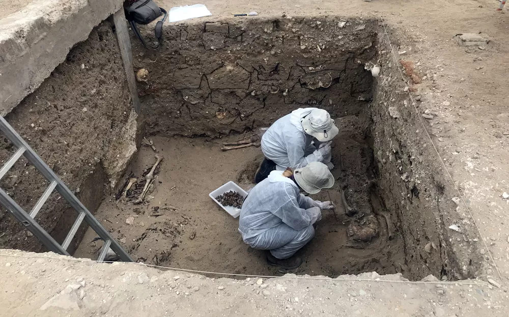 noticias cadiz cementerio_5 (1).jpg noticias cadiz cementerio_5 (1).jpg