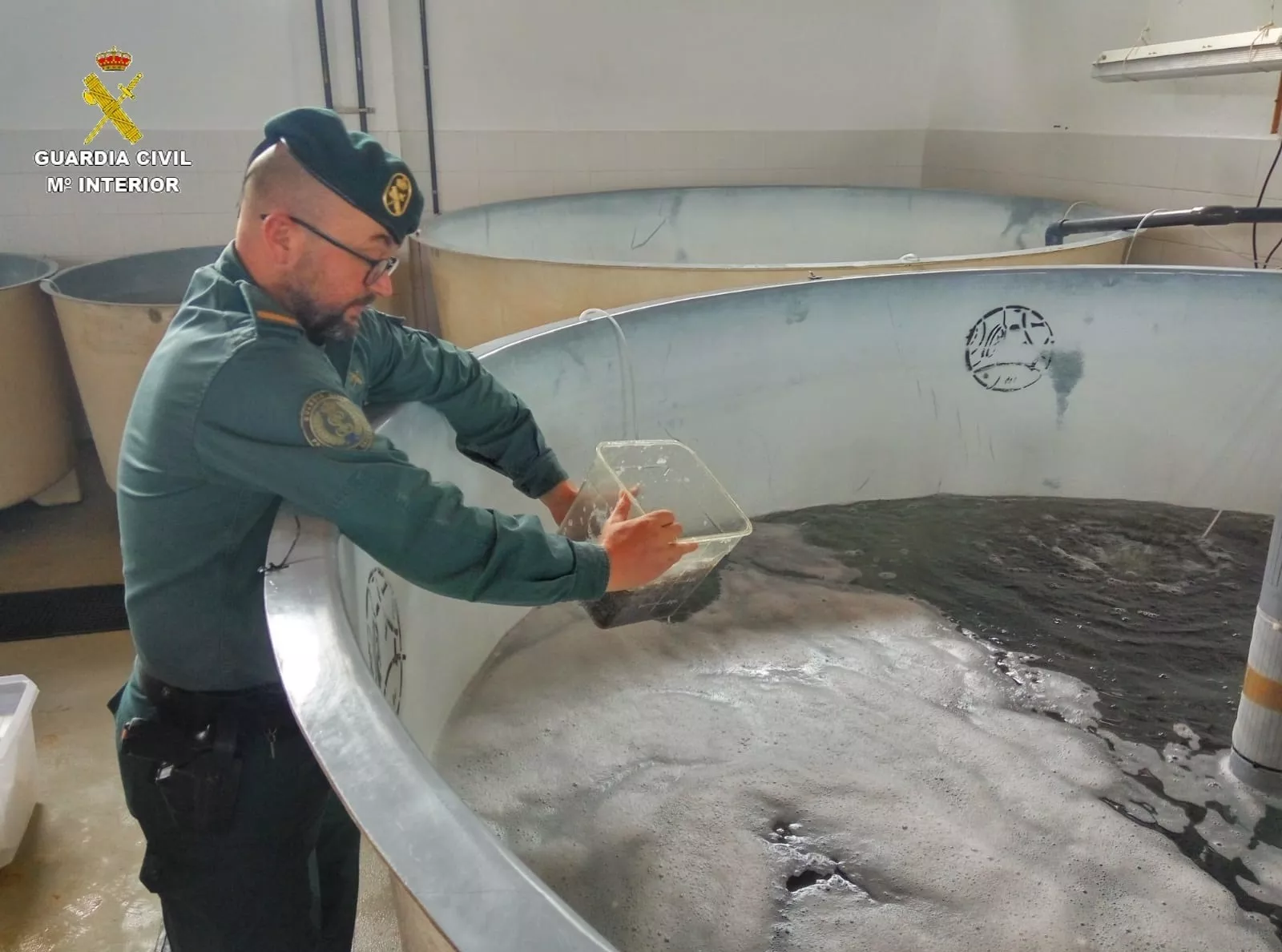 noticias cadiz guardia civil angulas los barrios.jpg noticias cadiz guardia civil angulas los barrios.jpg