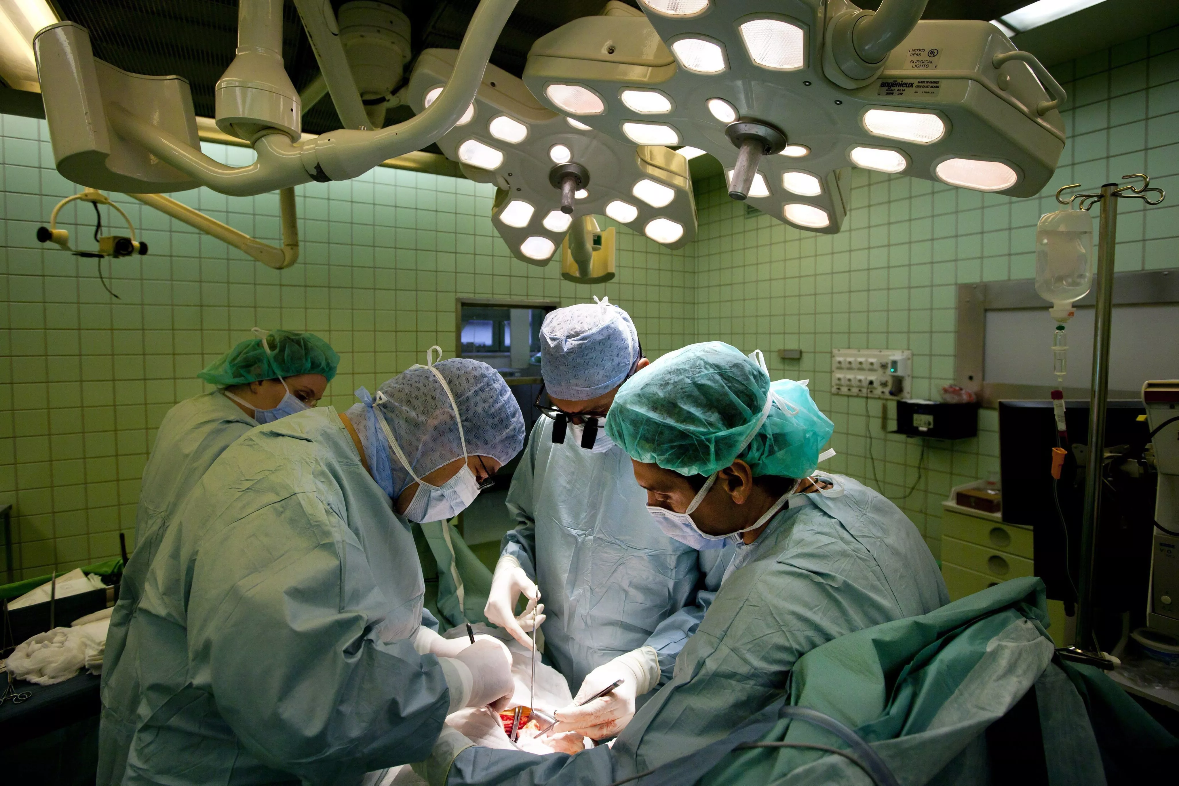 noticias cadiz transplantes_0_0.jpg noticias cadiz transplantes_0_0.jpg
