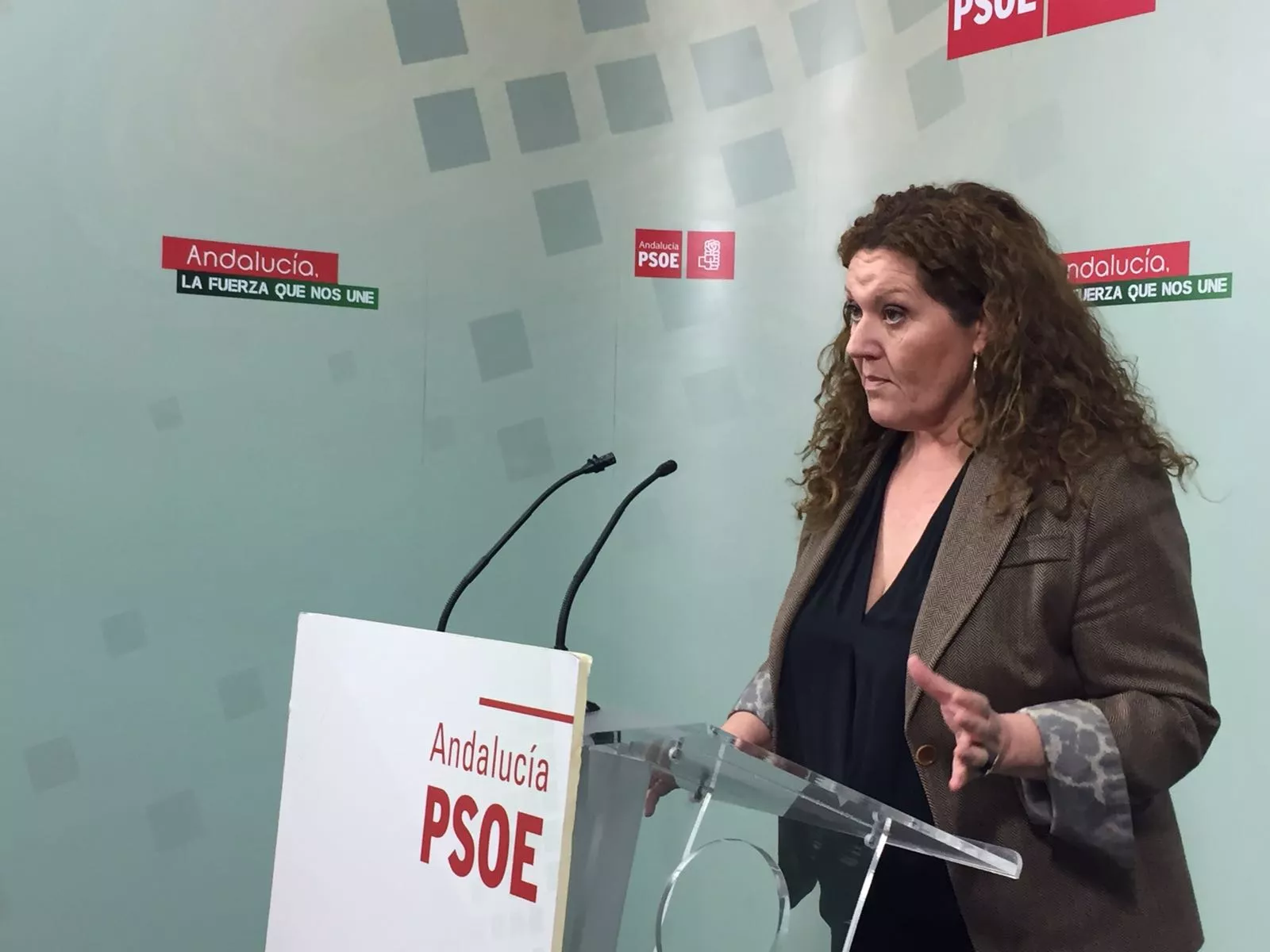 noticias cadiz Araceli Maese impuesto a_0.jpg noticias cadiz Araceli Maese impuesto a_0.jpg