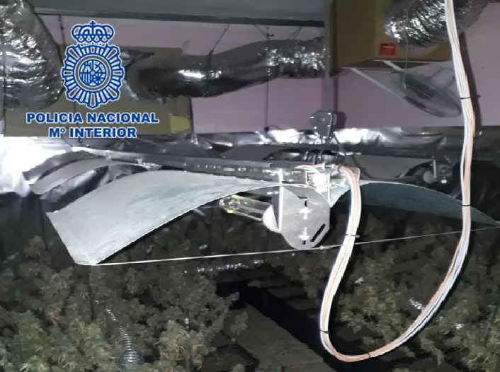 noticias cadiz Jerez Plantación Marihuana (1).jpg noticias cadiz Jerez Plantación Marihuana (1).jpg
