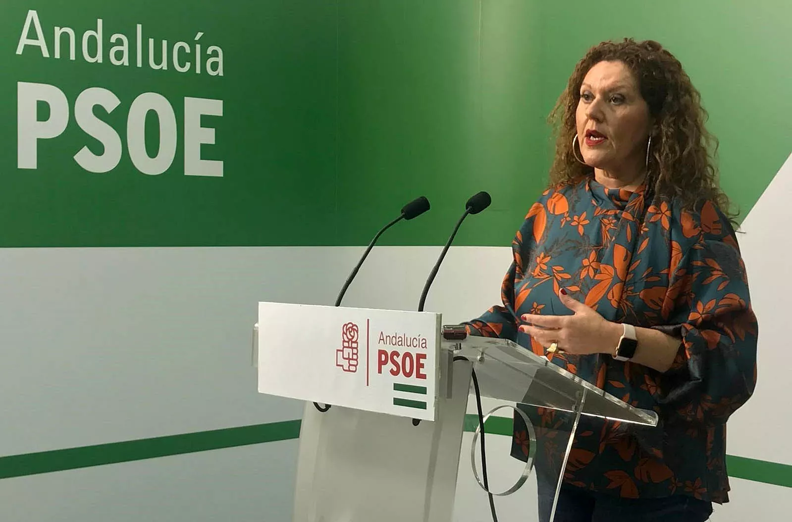 noticias cadiz araceli_2.jpg noticias cadiz araceli_2.jpg