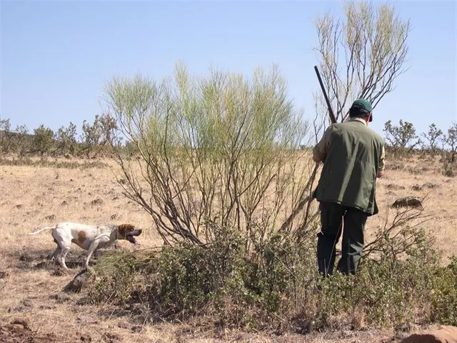 noticias cadiz caza.jpg noticias cadiz caza.jpg