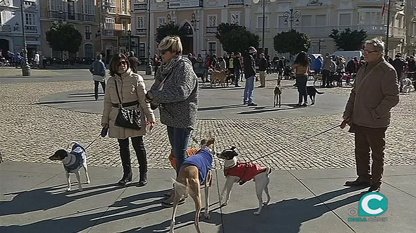 noticias cadiz foto no a la caza1.jpg noticias cadiz foto no a la caza1.jpg