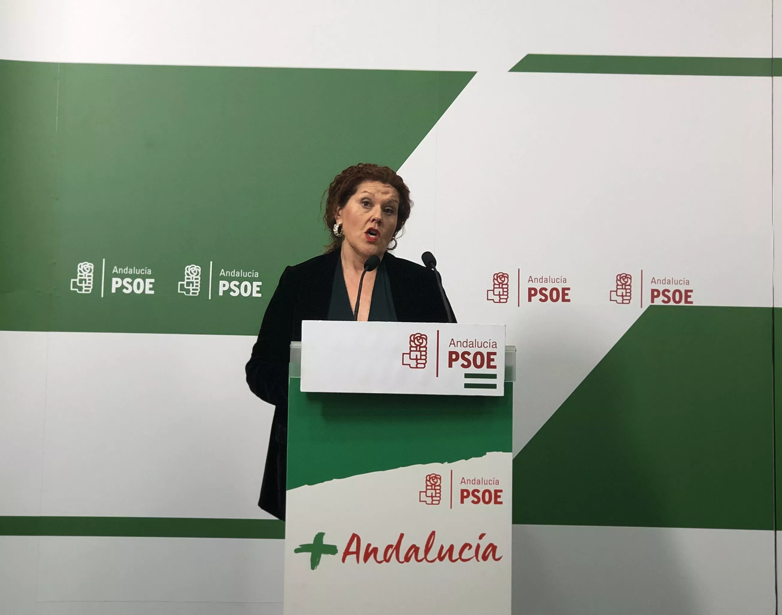 noticias cadiz maese_3.jpg noticias cadiz maese_3.jpg