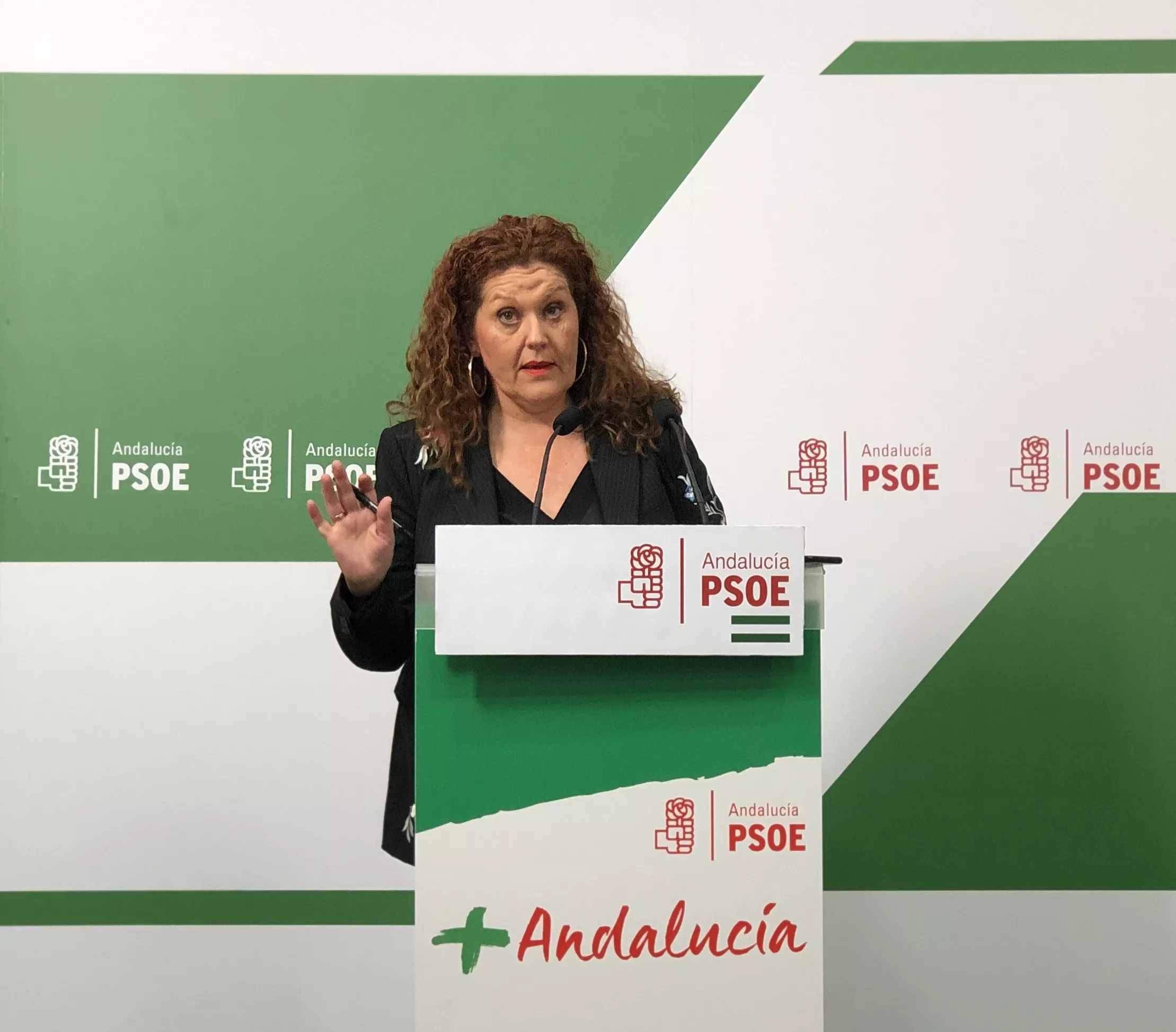 noticias cadiz maese_4.jpg noticias cadiz maese_4.jpg