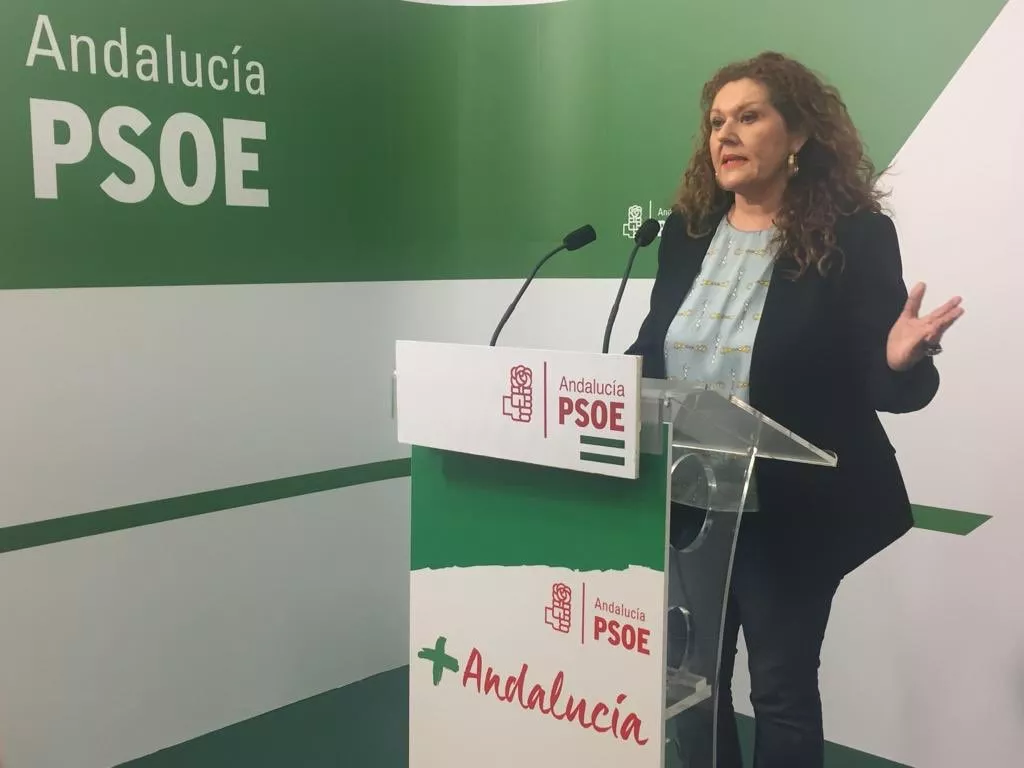 noticias cadiz psoe araceli maese.jpg