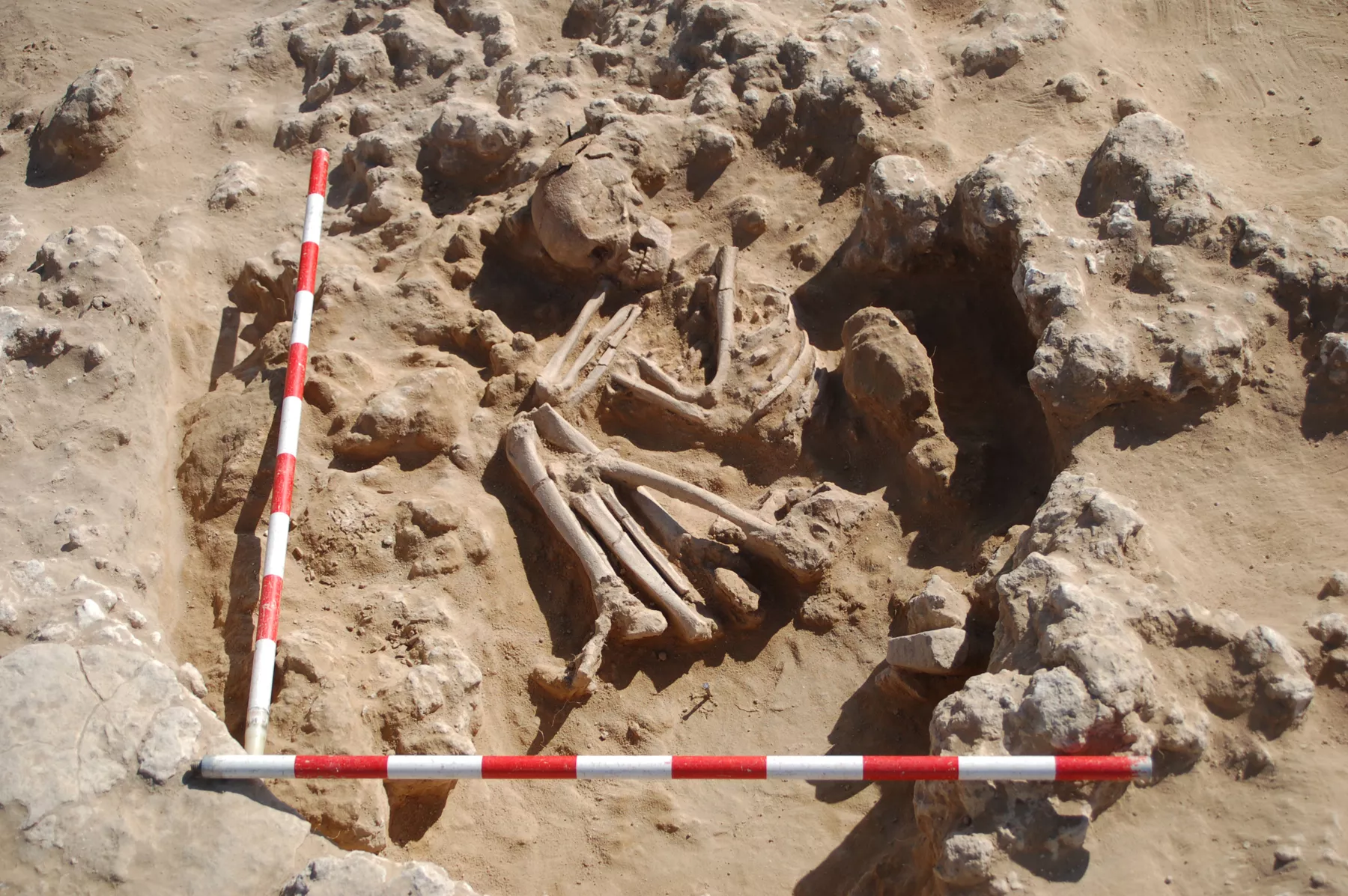 noticias cadiz Eduardo Vijande.jpg noticias cadiz Eduardo Vijande.jpg