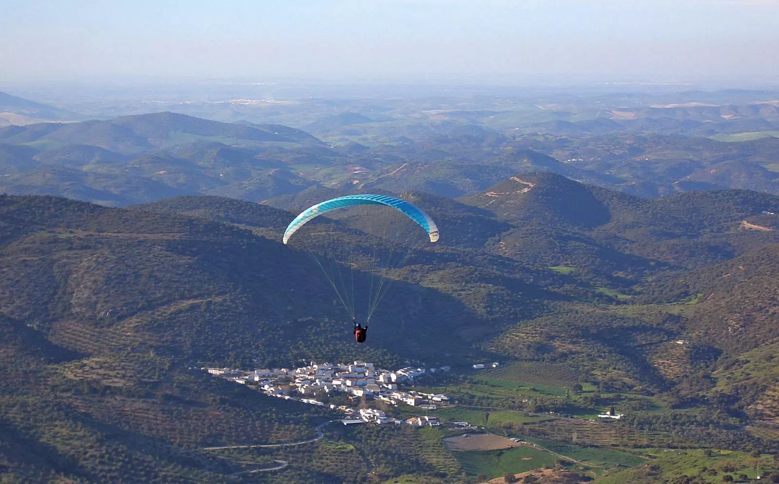 noticias cadiz algodonales_4.jpg noticias cadiz algodonales_4.jpg