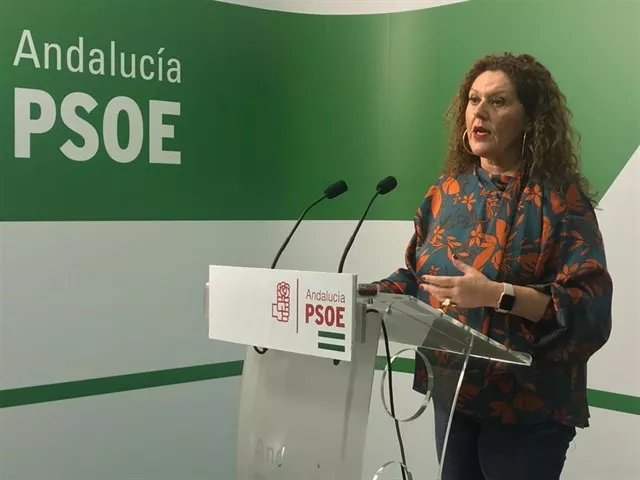 La secretaria de Organización del PSOE de Cádiz, Araceli Maese noticias cadiz araceli maese_9.jpg