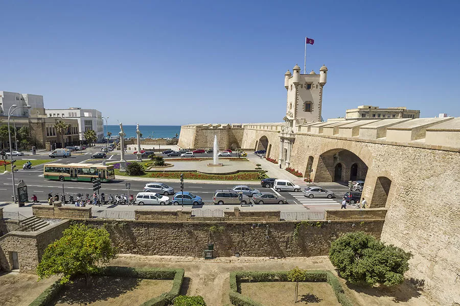 noticias cadiz pelicano.jpg noticias cadiz pelicano.jpg