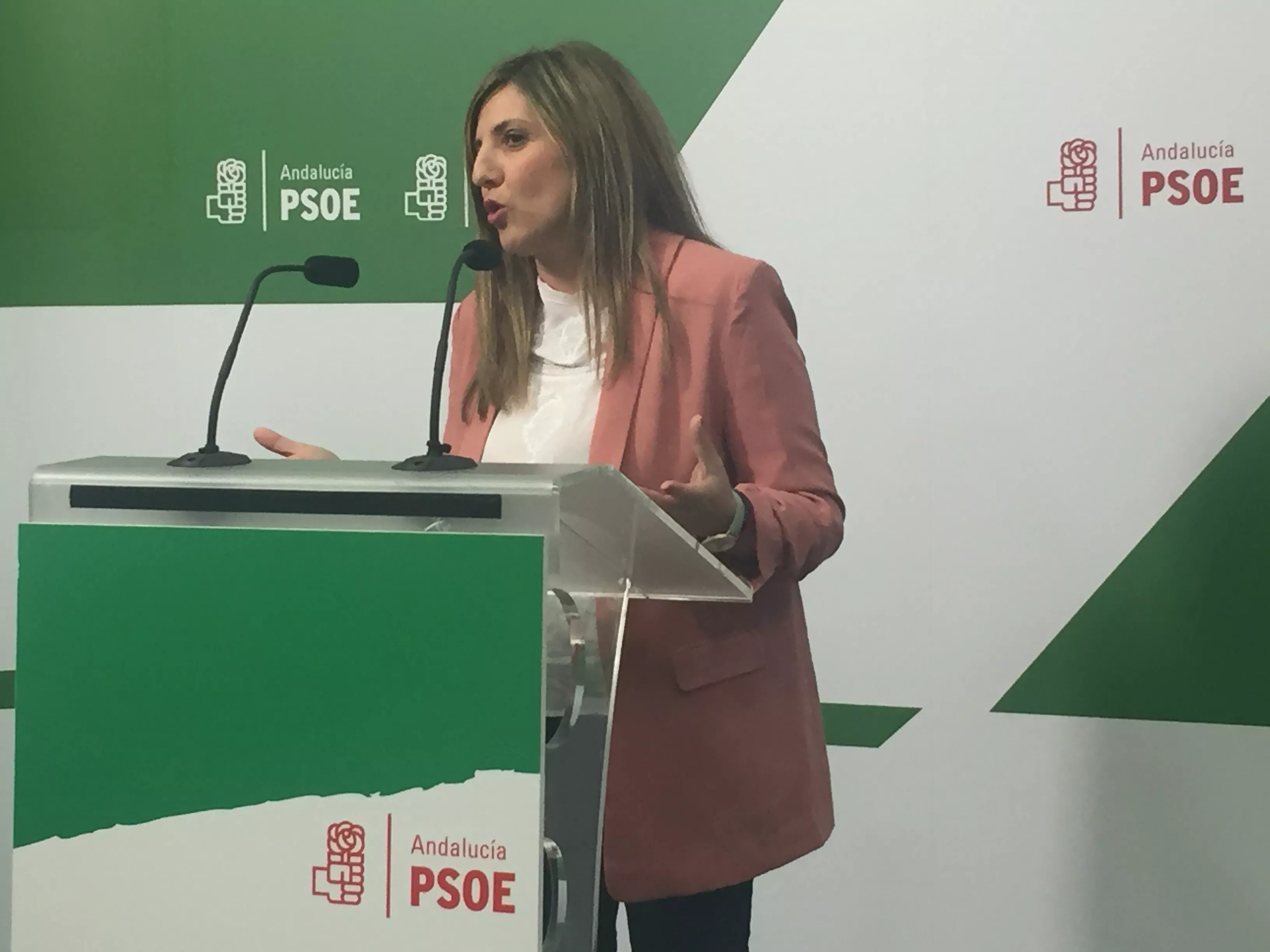 noticias cadiz psoe irene garcia.JPG