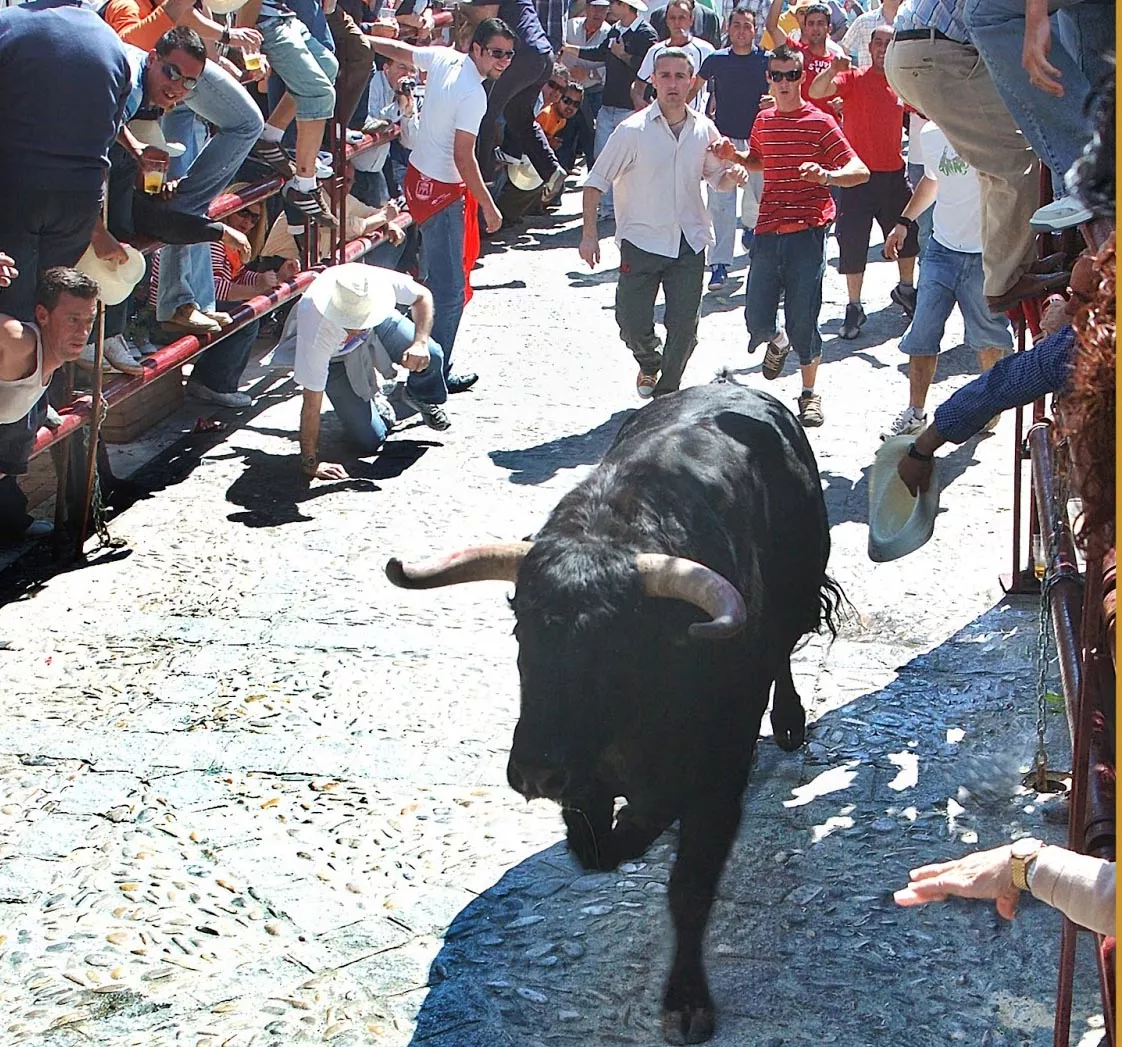 CARTEL TORO 2013_0.jpg CARTEL TORO 2013_0.jpg