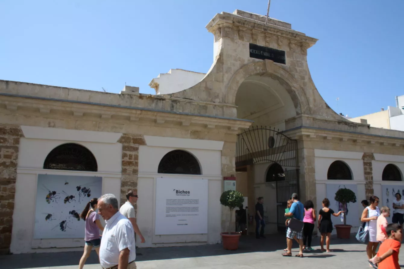 Mercado-general-7-1340x893.jpg Mercado-general-7-1340x893.jpg
