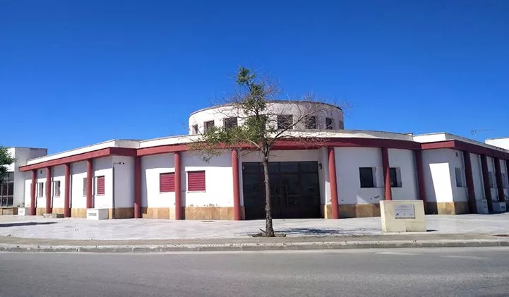 noticias cadiz Los gallos.jpg noticias cadiz Los gallos.jpg