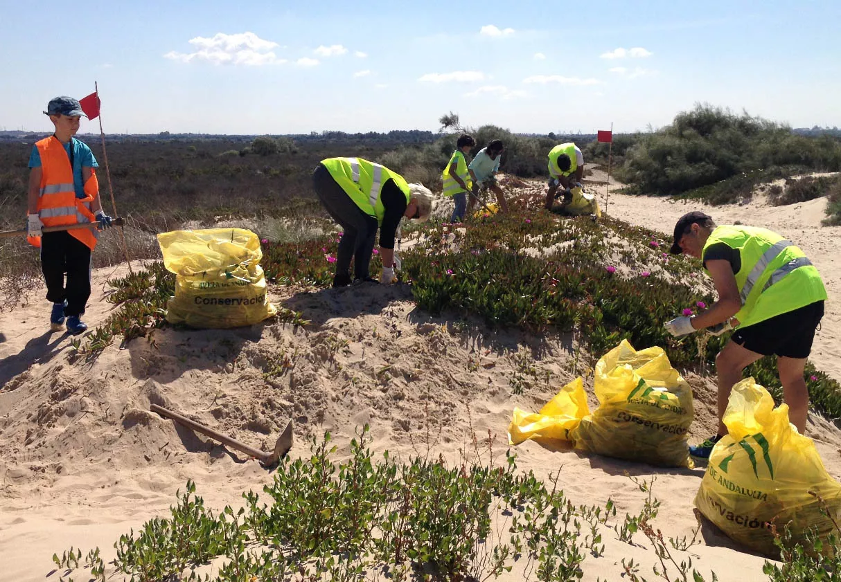 noticias cadiz Voluntarios Toruños 2_0.jpeg noticias cadiz Voluntarios Toruños 2_0.jpeg
