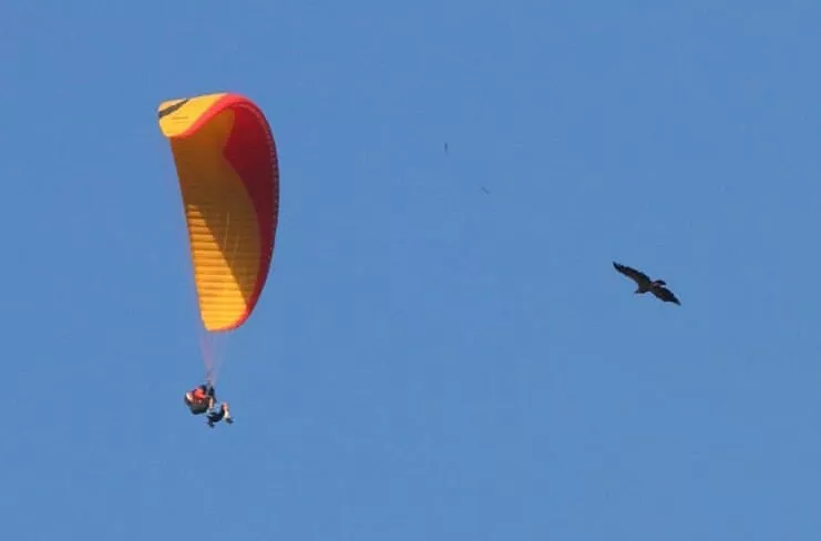 noticias cadiz algodonales_5.jpg noticias cadiz algodonales_5.jpg
