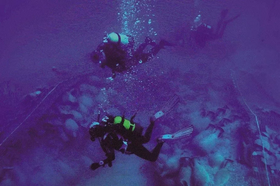 noticias cadiz buceo bou ferrer.jpg noticias cadiz buceo bou ferrer.jpg