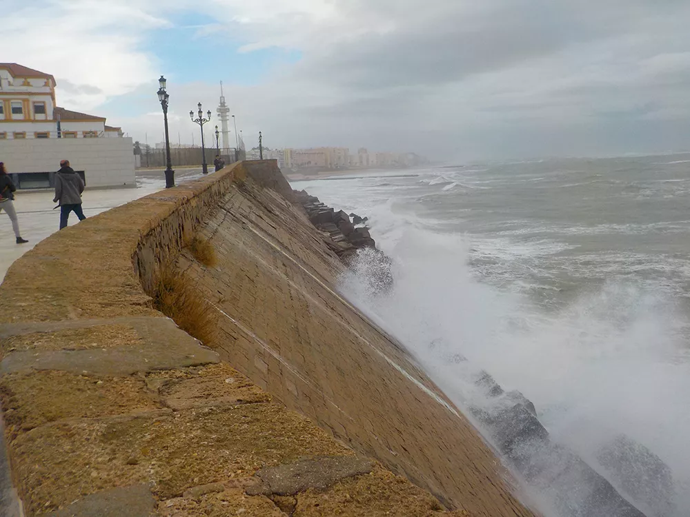 noticias cadiz campo del sur.JPG noticias cadiz campo del sur.JPG