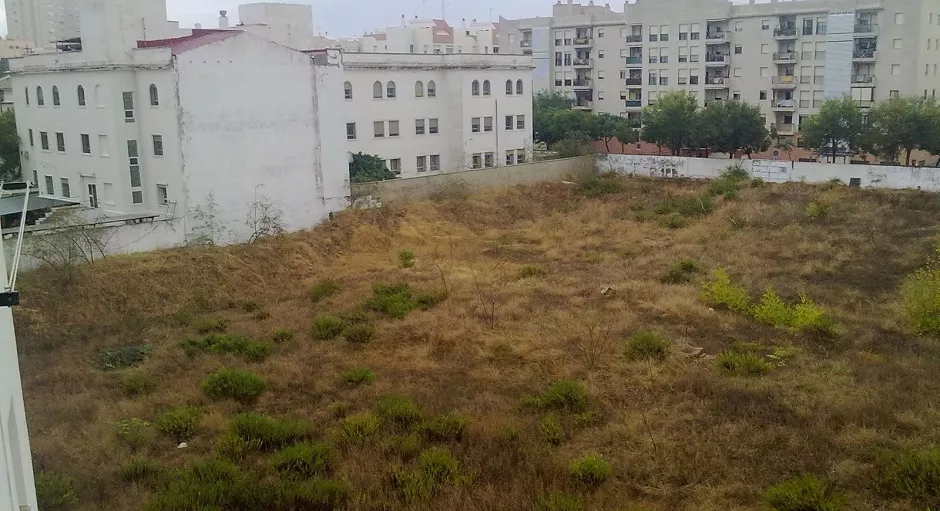 noticias cadiz ciudad justicia_0_0.jpg noticias cadiz ciudad justicia_0_0.jpg